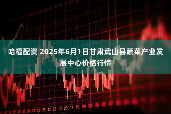 哈福配资 2025年6月1日甘肃武山县蔬菜产业发展中心价格行情