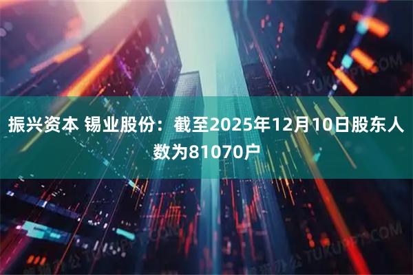 振兴资本 锡业股份：截至2025年12月10日股东人数为81070户