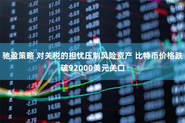 驰盈策略 对关税的担忧压制风险资产 比特币价格跌破92000美元关口